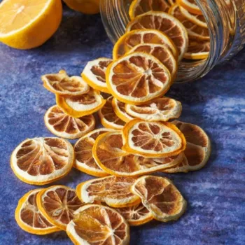 Dried Lemon (8)-1163736-71328.webp